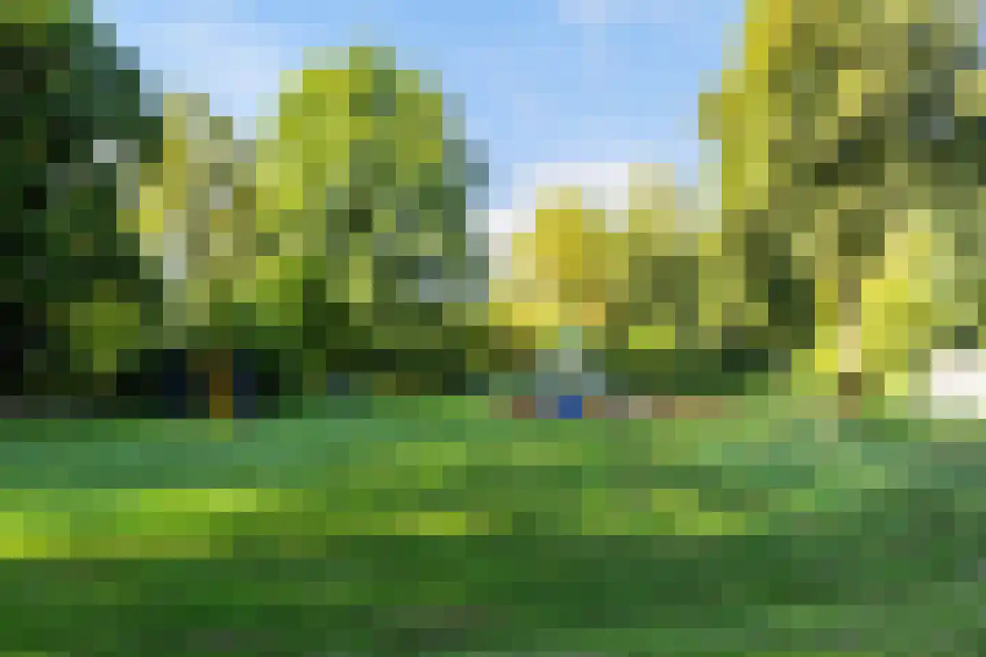 Rietdekkersdreef 528 Apeldoorn thumbnail 39