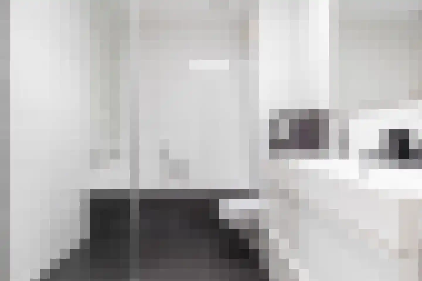 Rietdekkersdreef 528 Apeldoorn thumbnail 4