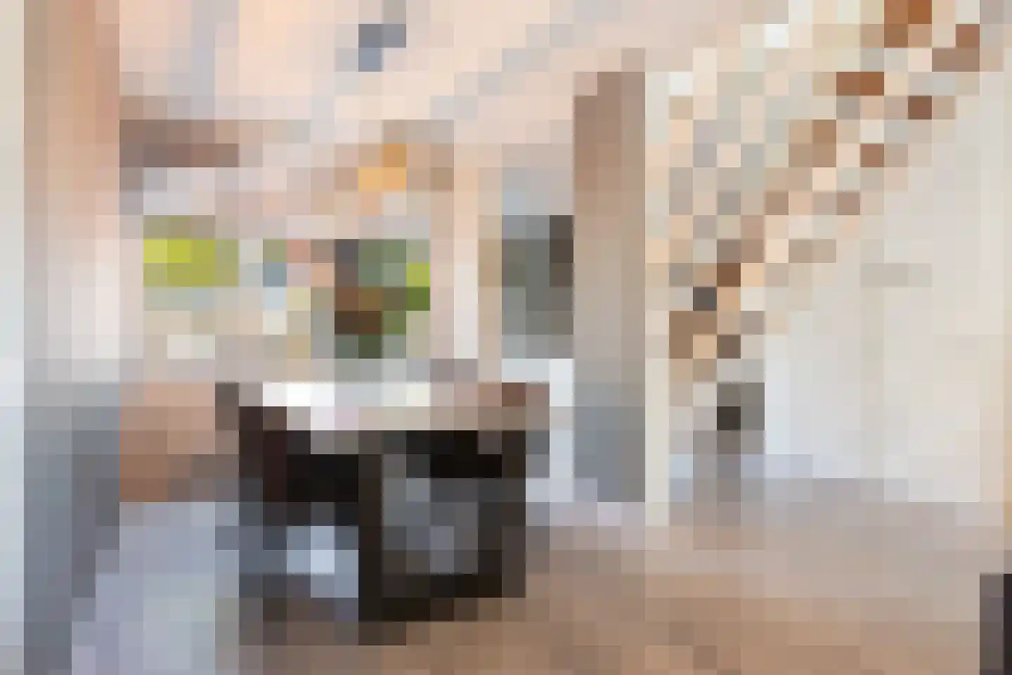 Rietdekkersdreef 528 Apeldoorn thumbnail 9