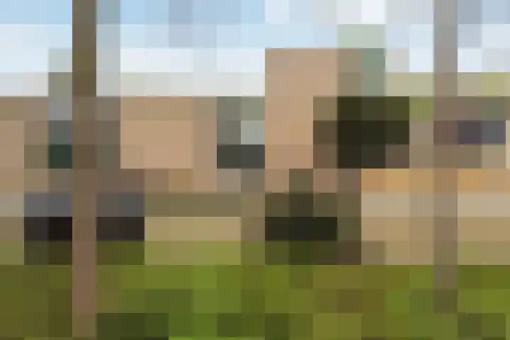 Rietdekkersdreef 530 in Apeldoorn