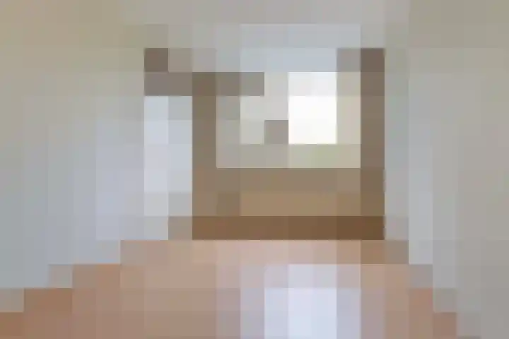 Rietdekkersdreef 530 Apeldoorn thumbnail 13