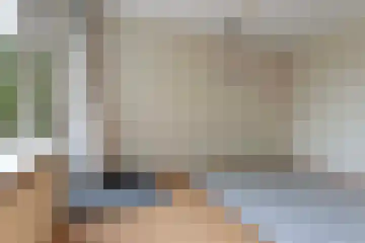 Rietdekkersdreef 530 Apeldoorn thumbnail 15