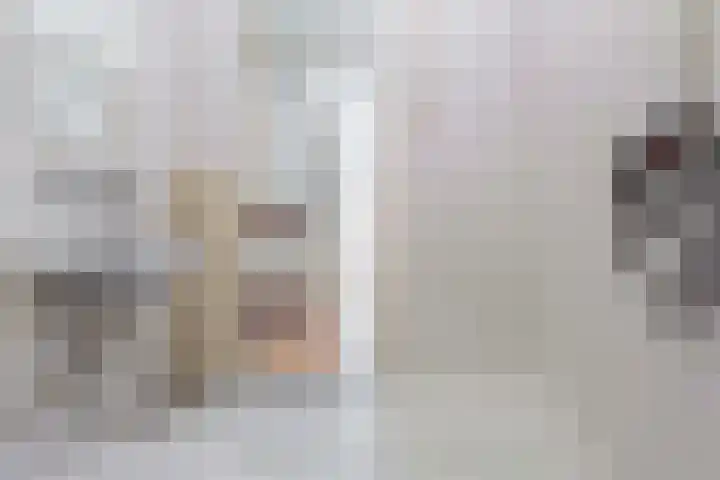 Rietdekkersdreef 530 Apeldoorn thumbnail 18
