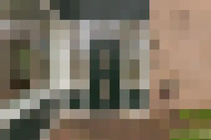 Rietdekkersdreef 530 Apeldoorn thumbnail 21