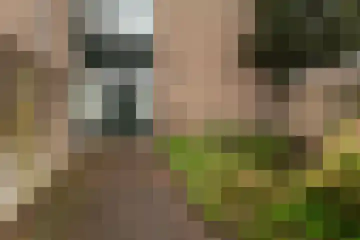Rietdekkersdreef 530 Apeldoorn thumbnail 22