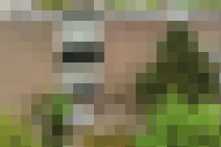 Rietdekkersdreef 530 Apeldoorn thumbnail 24