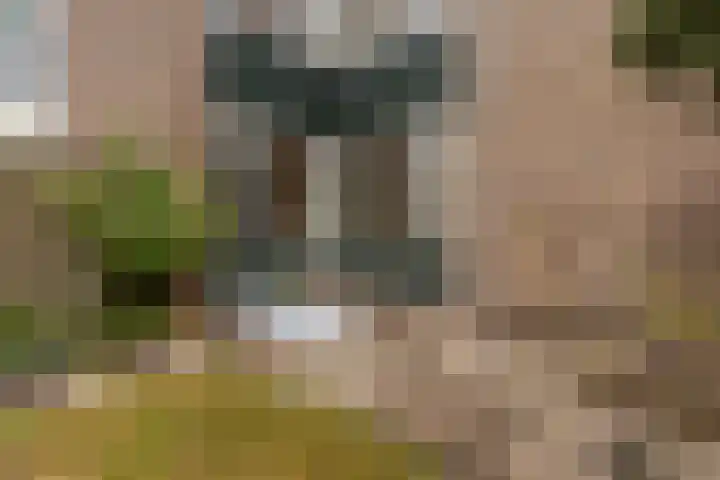 Rietdekkersdreef 530 Apeldoorn thumbnail 25