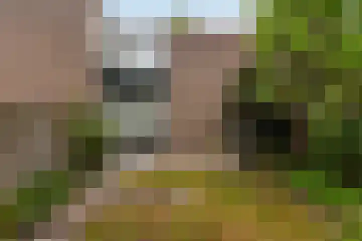 Rietdekkersdreef 530 Apeldoorn thumbnail 26