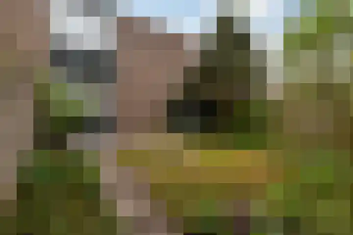 Rietdekkersdreef 530 Apeldoorn thumbnail 27