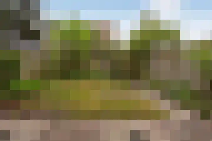 Rietdekkersdreef 530 Apeldoorn thumbnail 28