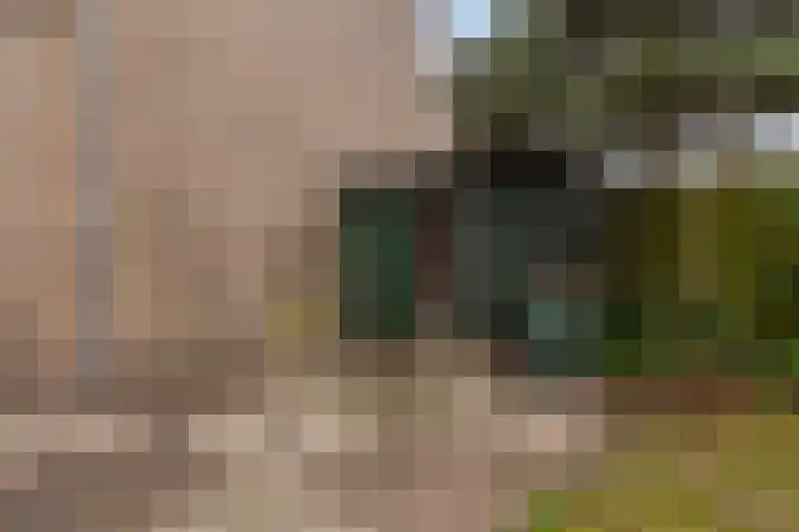 Rietdekkersdreef 530 Apeldoorn thumbnail 29