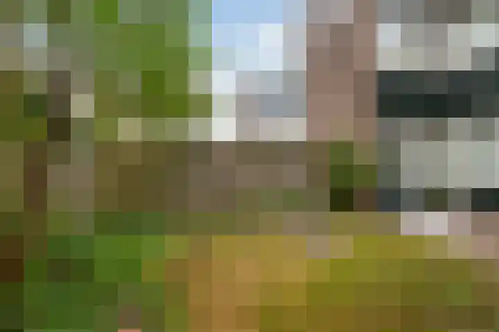 Rietdekkersdreef 530 Apeldoorn thumbnail 30