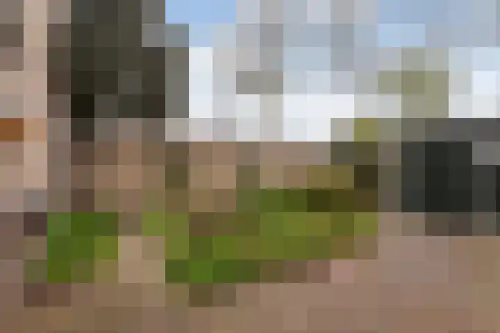 Rietdekkersdreef 530 Apeldoorn thumbnail 31
