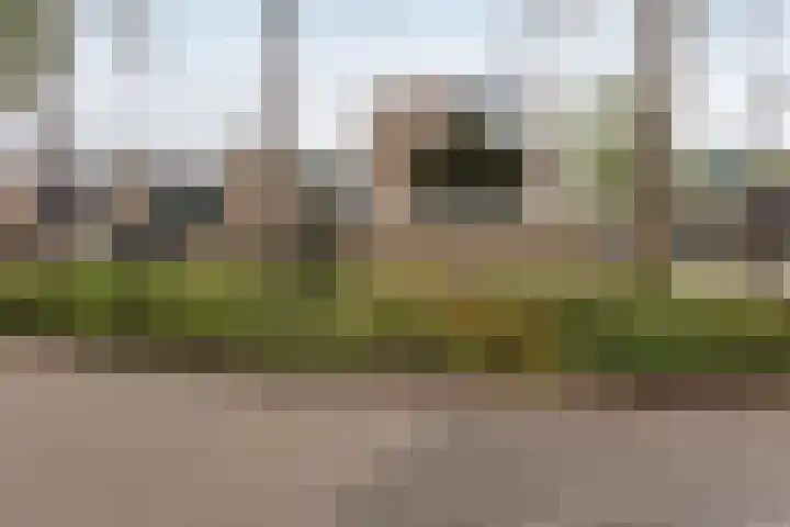 Rietdekkersdreef 530 Apeldoorn thumbnail 32