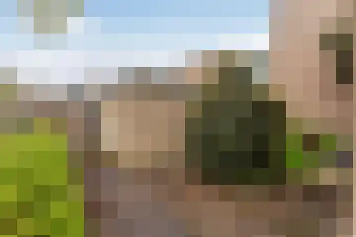 Rietdekkersdreef 530 Apeldoorn thumbnail 33