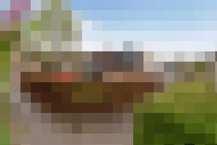 Rietdekkersdreef 530 Apeldoorn thumbnail 34