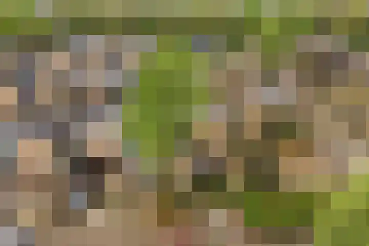 Rietdekkersdreef 530 Apeldoorn thumbnail 36