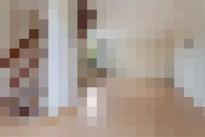 Rietdekkersdreef 530 Apeldoorn thumbnail 4