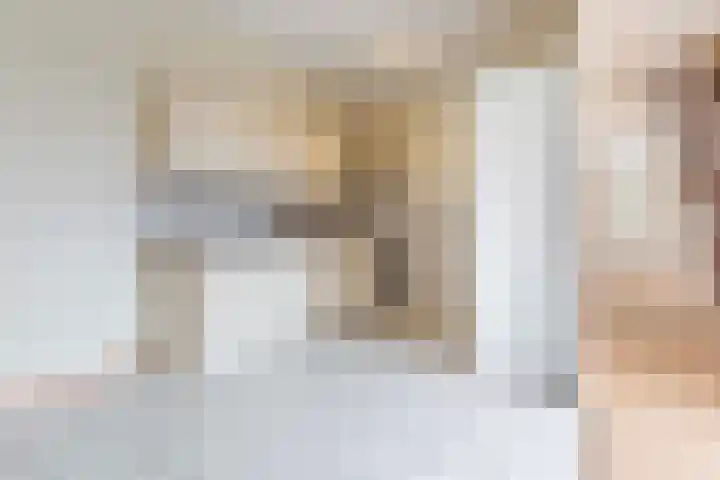 Rietdekkersdreef 530 Apeldoorn thumbnail 5