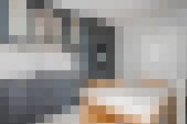 Rietdekkersdreef 7 Cuijk thumbnail 10