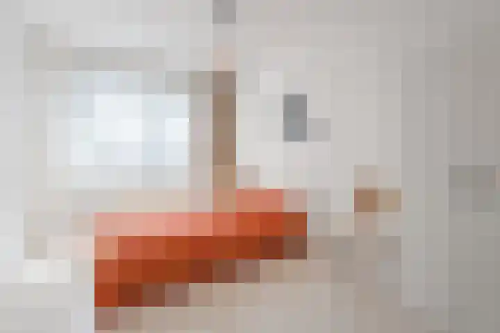 Rietdekkersdreef 7 Cuijk thumbnail 14