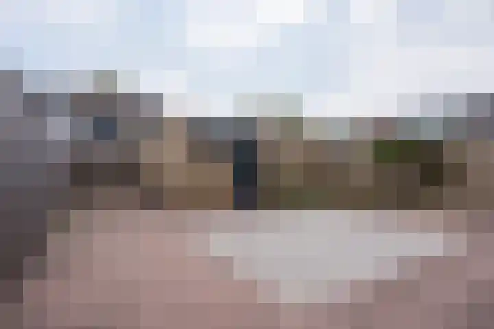Rietdekkersdreef 7 Cuijk thumbnail 23