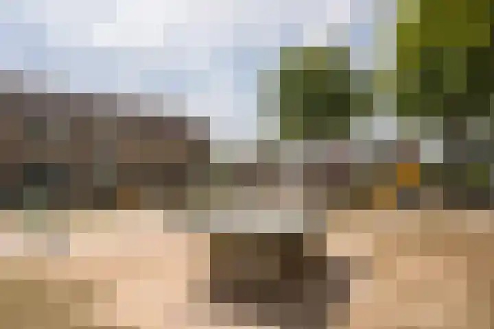 Rietdekkersdreef 7 Cuijk thumbnail 25