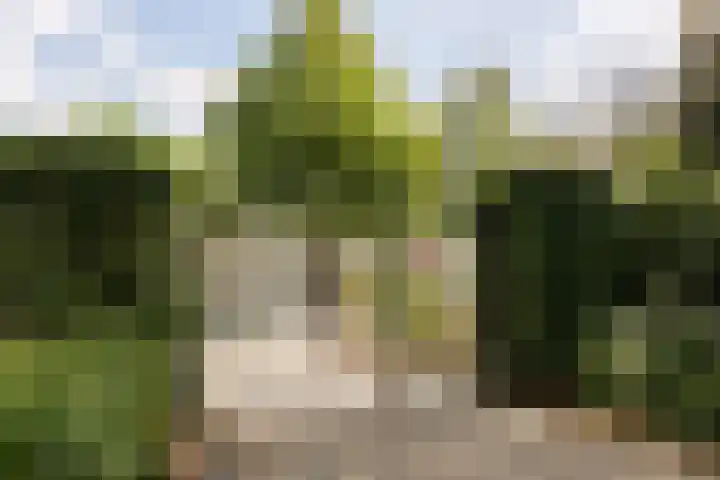 Rietdekkersdreef 7 Cuijk thumbnail 26