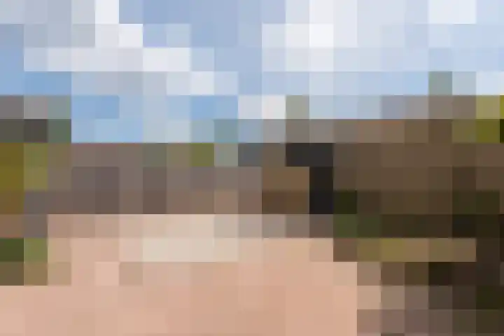 Rietdekkersdreef 7 Cuijk thumbnail 5