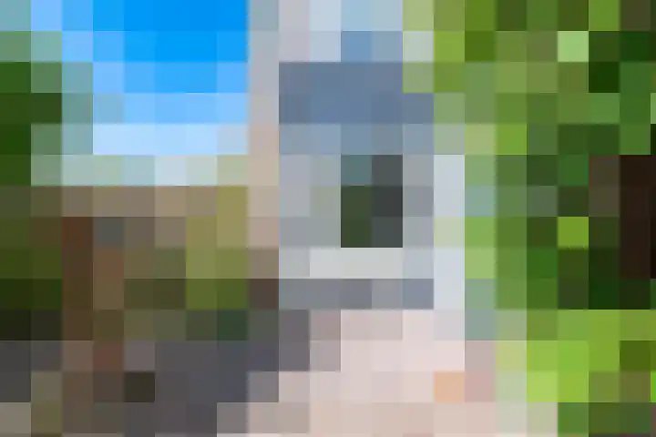 Rietdekkersdreef 706 Apeldoorn thumbnail 10