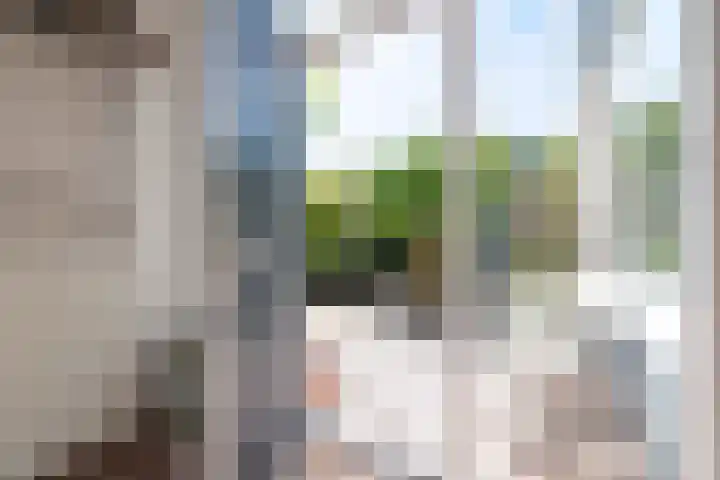 Rietdekkersdreef 706 Apeldoorn thumbnail 11