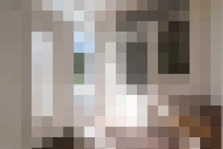 Rietdekkersdreef 706 Apeldoorn thumbnail 12