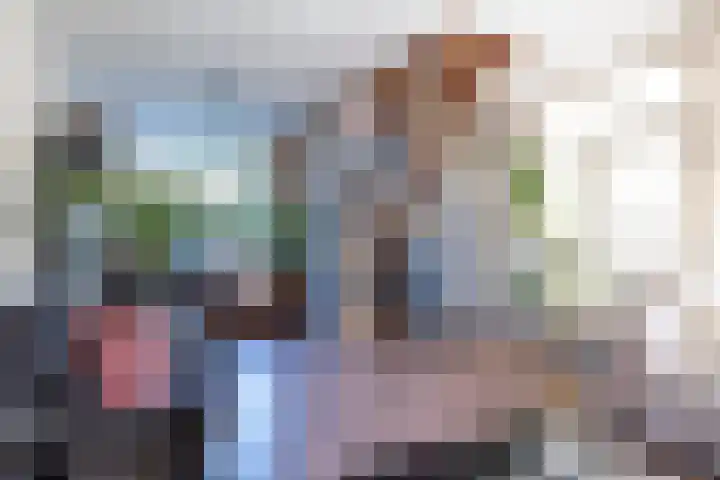 Rietdekkersdreef 706 Apeldoorn thumbnail 16