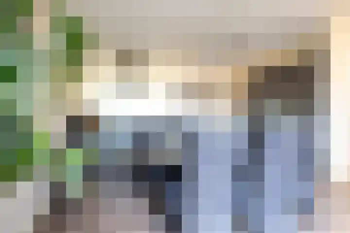 Rietdekkersdreef 706 Apeldoorn thumbnail 18