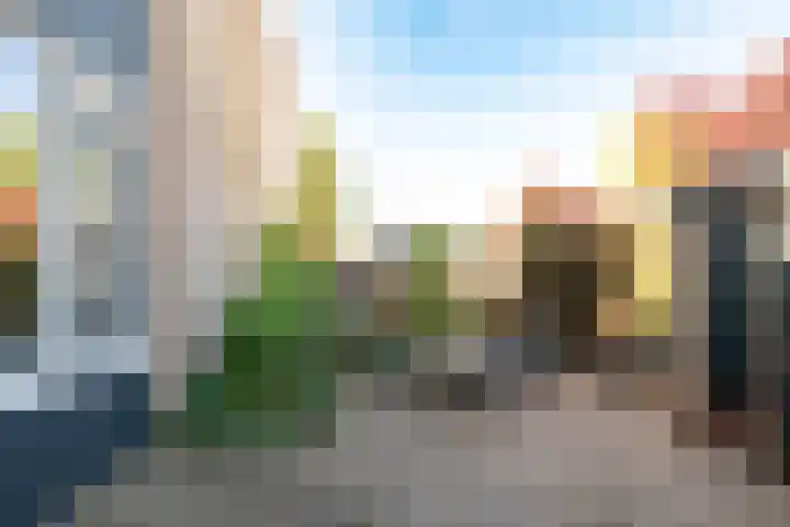Rietdekkersdreef 706 Apeldoorn thumbnail 20