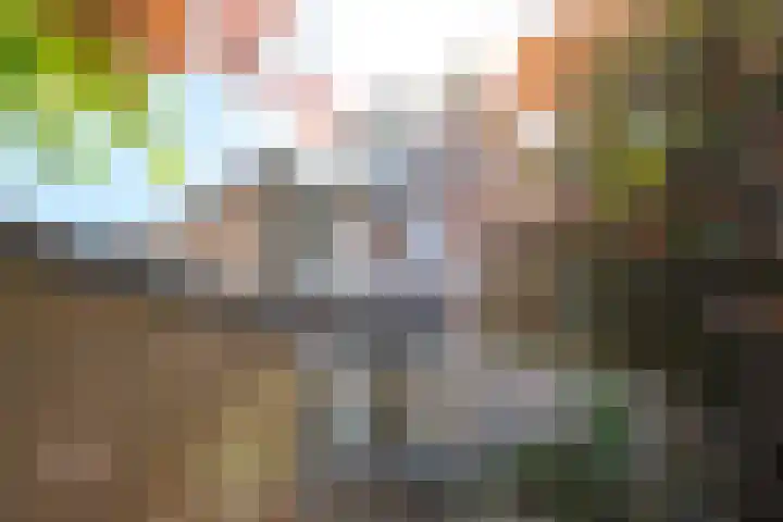 Rietdekkersdreef 706 Apeldoorn thumbnail 23
