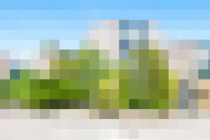 Rietdekkersdreef 706 Apeldoorn thumbnail 4