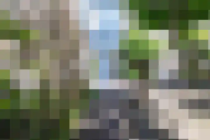 Rietdekkersdreef 706 Apeldoorn thumbnail 5