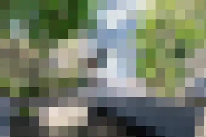 Rietdekkersdreef 706 Apeldoorn thumbnail 6