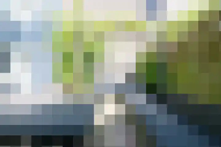 Rietdekkersdreef 706 Apeldoorn thumbnail 7