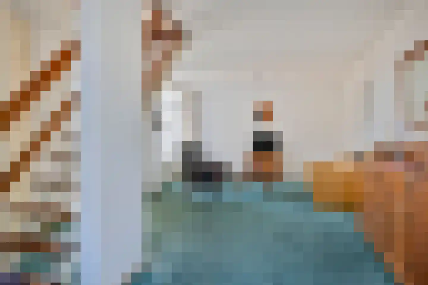 Rietdekkersdreef 726 Apeldoorn thumbnail 11