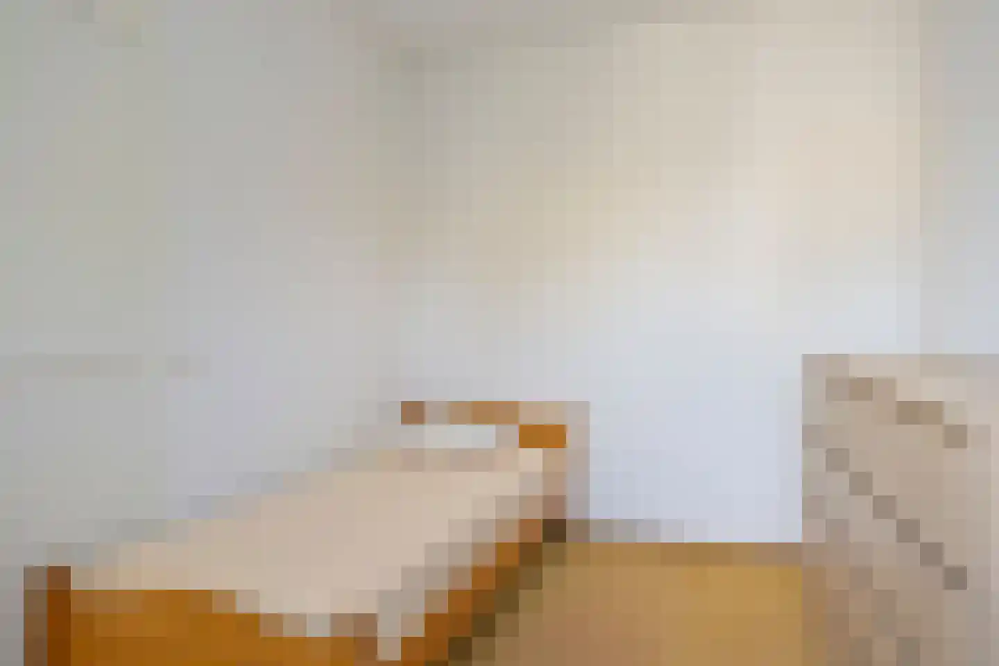 Rietdekkersdreef 726 Apeldoorn thumbnail 23
