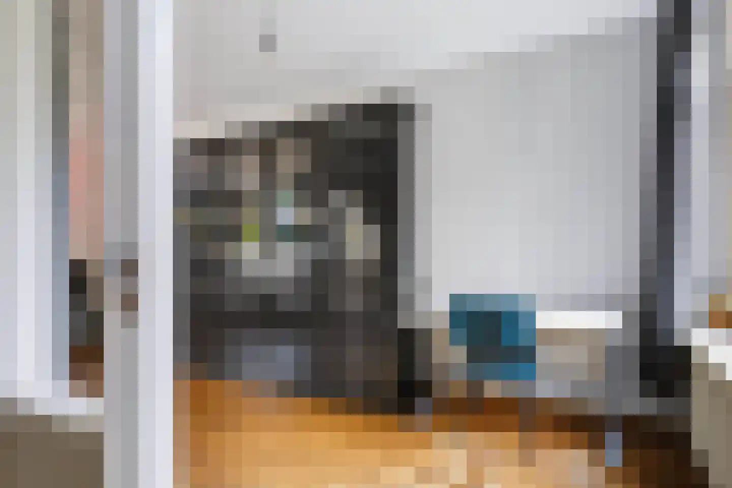 Rietdekkersdreef 848 Apeldoorn thumbnail 11
