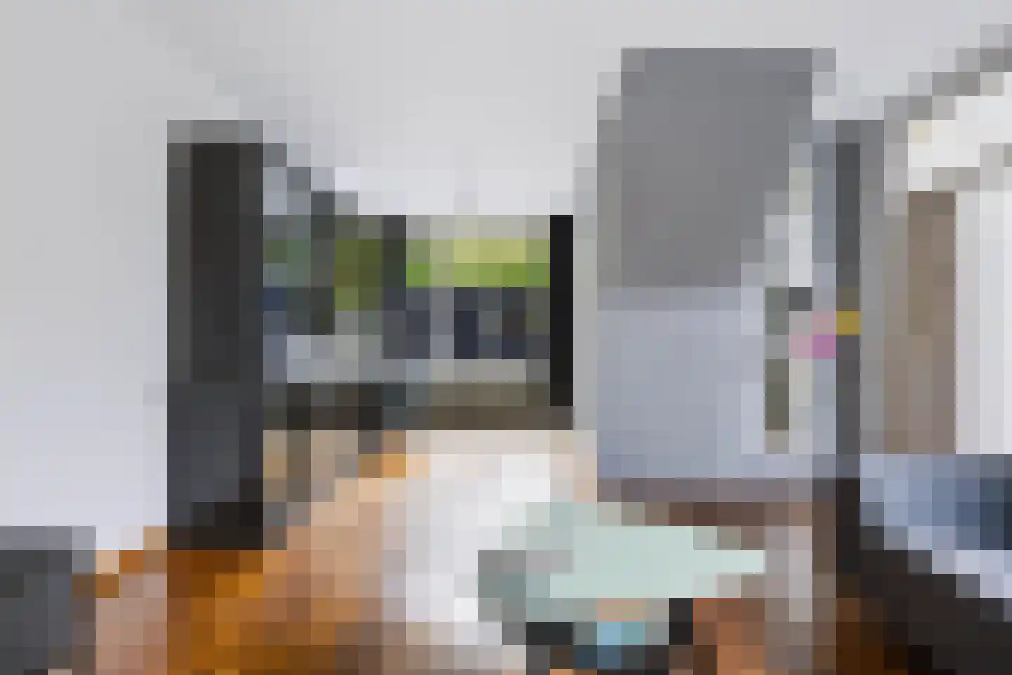 Rietdekkersdreef 848 Apeldoorn thumbnail 12