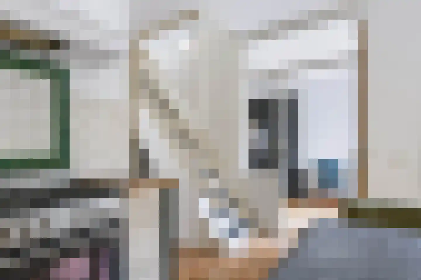 Rietdekkersdreef 848 Apeldoorn thumbnail 16