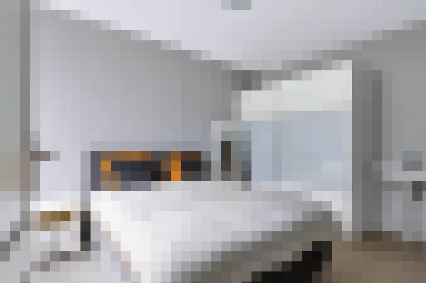 Rietdekkersdreef 848 Apeldoorn thumbnail 18