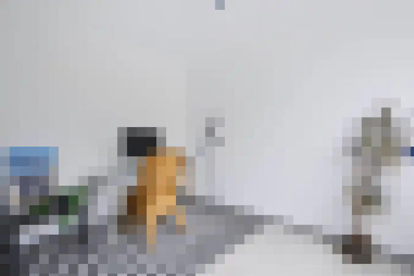 Rietdekkersdreef 848 Apeldoorn thumbnail 20