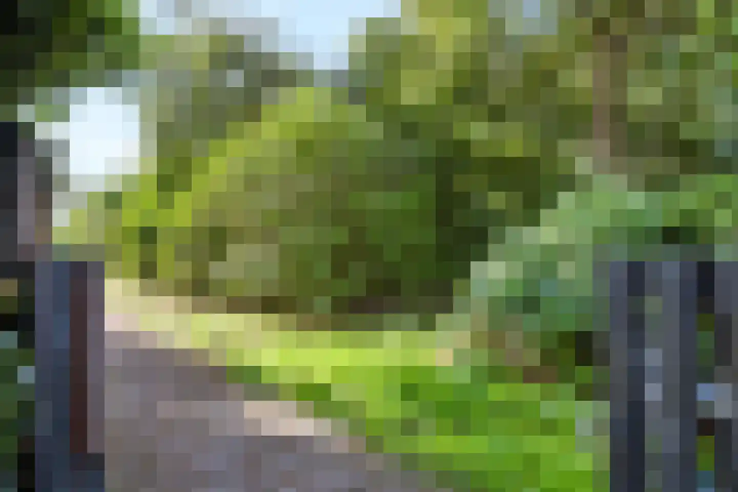 Rietdekkersdreef 848 Apeldoorn thumbnail 30