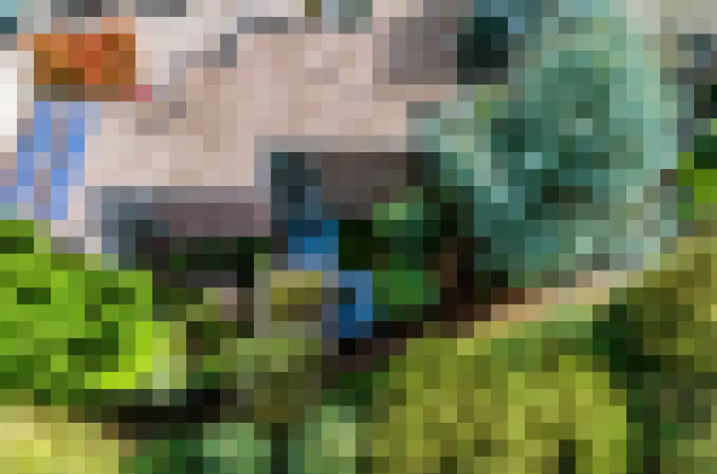Rietdekkersdreef 848 Apeldoorn thumbnail 34