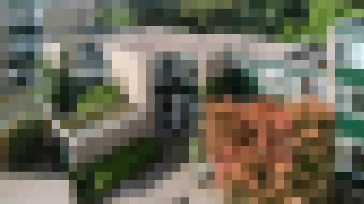 Rietdekkersdreef 848 Apeldoorn thumbnail 35